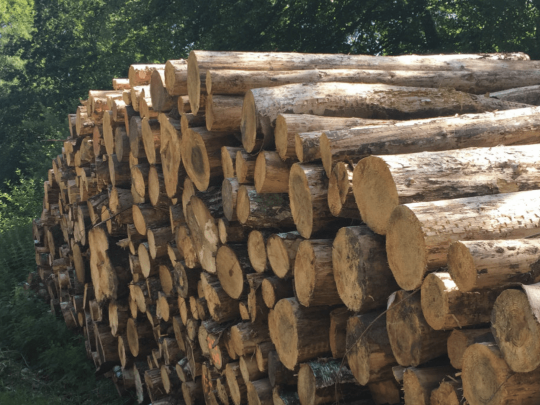 Firewood logs Archives JackLogs